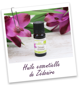 Huile essentielle Zédoaire BIO Aroma-Zone