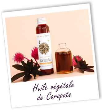 Huile végétale Carapate Aroma-Zone