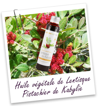 Huile végétale Lentisque de Kabylie Aroma-Zone