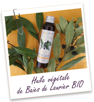 Huile végétale Baies de Laurier Aroma-Zone BIO