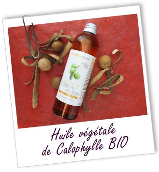 Huile végétale Calophylle inophyle BIO Aroma-Zone