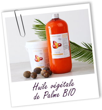 Huile végétale Palme BIO Aroma-Zone
