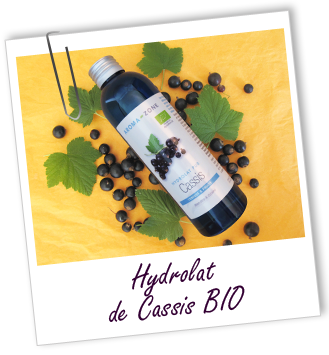 Hydrolat Cassis BIO Aroma-zone