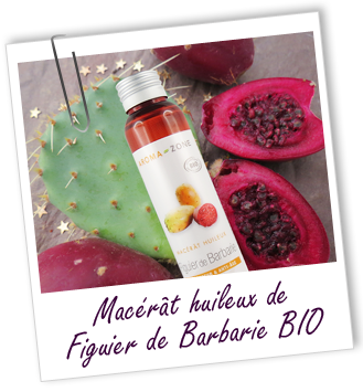 Macérât huileux Figuier de Barbarie BIO Aroma-Zone