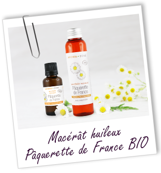 Macérât huileux Pâquerette de France BIO Aroma-Zone