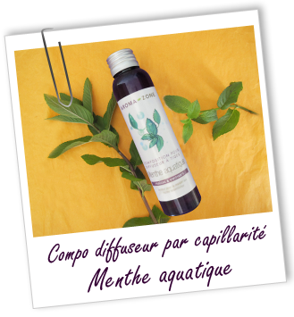 Composition pour diffuseur par capillarité MENTHE AQUATIQUE Aroma-Zone
