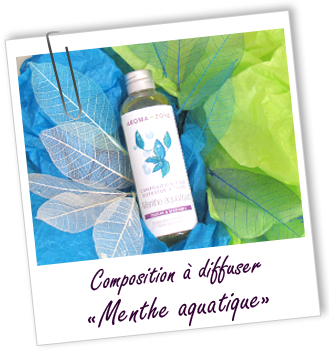 Composition pour diffuseur à tiges MENTHE AQUATIQUE Aroma-Zone