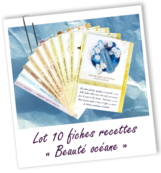 Pack de 10 fiches recettes 