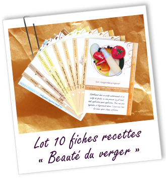 Pack de 10 fiches recettes 