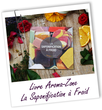 Livre Cosmétique à faire Soi-même La Saponification à froid