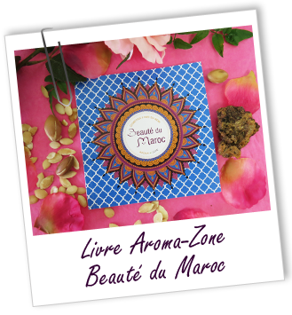 Livre Cosmétique à faire Soi-même Beauté du Maroc Livre Cosmétique à faire Soi-même Beauté du Maroc