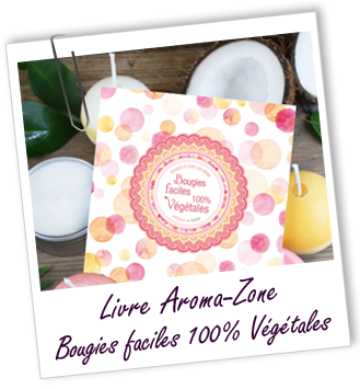 Livre Cosmétique à faire Soi-même Bougies Faciles 100% Végétales