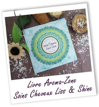 Livre Cosmétique à faire Soi-même Soins cheveux Liss & Shine Livre Cosmétique à faire Soi-même Soins cheveux Liss & Shine