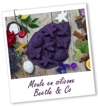 Moule en silicone Beetle & Co Aroma-Zone