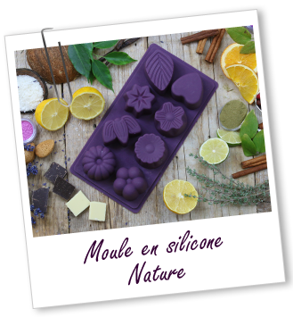 Moule en silicone Nature Aroma-Zone