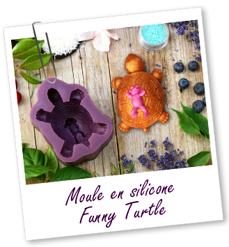 Moule en silicone Funny Turtle Aroma-Zone Moule en silicone Funny Turtle Aroma-Zone