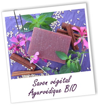 Savon artisanal Ayurvédique BIO Aroma-Zone Savon artisanal Ayurvédique BIO Aroma-Zone