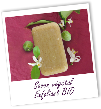 Savon végétal BIO EXFOLIANT Aroma-Zone