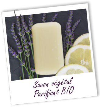 Savon végétal BIO PURIFIANT Aroma-Zone