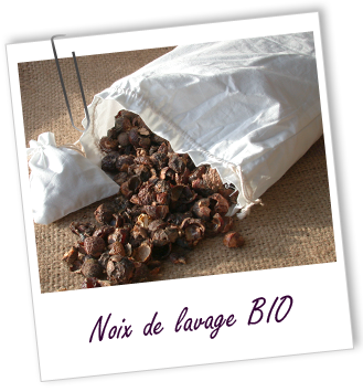 Noix de lavage BIO Aroma-Zone