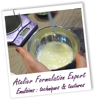 Atelier Formulation Expert - 