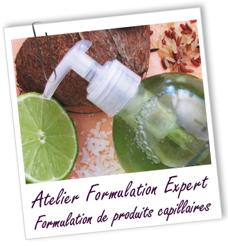 Atelier Formulation Expert - Atelier Formulation Expert -