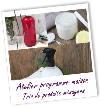Atelier Programme maison - Trio de produits ménagers écologiques - Aroma-Zone