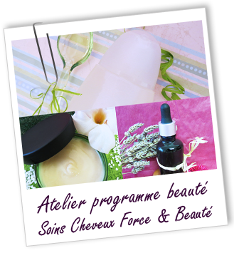 Atelier Programme beauté - SOINS CHEVEUX FORCE ET BEAUTE -238-239-240- Aroma-Zone