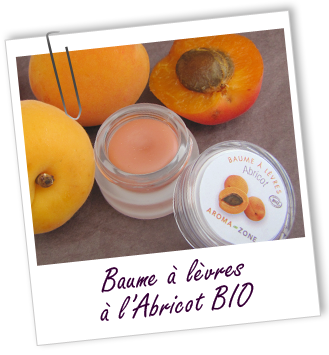 Baume à lèvres BIO au karité et à l' ABRICOT Aroma-Zone