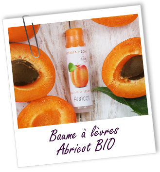Baume à lèvres BIO Abricot Aroma-Zone Baume à lèvres BIO Abricot Aroma-Zone