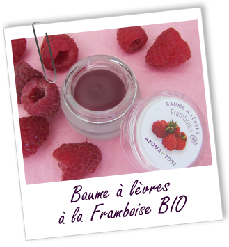 Baume à lèvres BIO au karité et à la FRAMBOISE Aroma-Zone