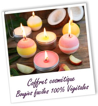 Coffret senteur maison Bougies faciles 100% Végétale 2016 Aroma-Zone