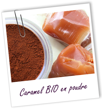 Colorant végétal Caramel BIO en poudre Aroma-Zone