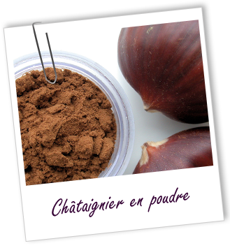 Colorant végétal Châtaignier en poudre Aroma-Zone