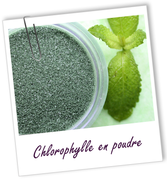 Colorant végétal Chlorophylle en poudre Aroma-Zone Colorant végétal Chlorophylle en poudre Aroma-Zone