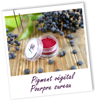 Pigment végétal Pourpre Sureau Aroma-Zone