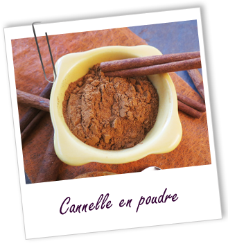 Coloration & Soin capillaire Cannelle de Ceylan BIO en poudre