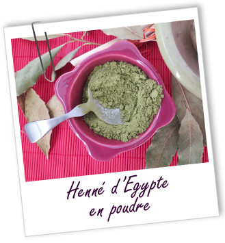 Coloration & Soin capillaire Henné d'Egypte Aroma-Zone