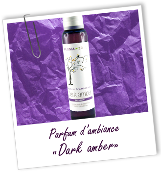 Parfum d'ambiance DARK AMBER Aroma-Zone Parfum d'ambiance DARK AMBER Aroma-Zone