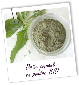 Poudre Ortie piquante BIO Aroma-Zone Poudre Ortie piquante BIO Aroma-Zone