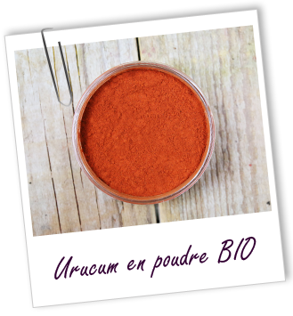 Poudre Urucum BIO Aroma-Zone