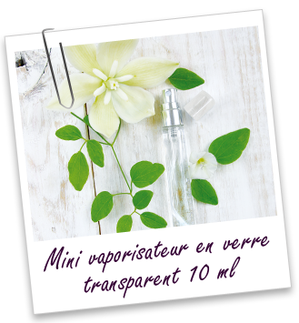 Mini-vaporisateur en verre transparent 10 ml Aroma-Zone