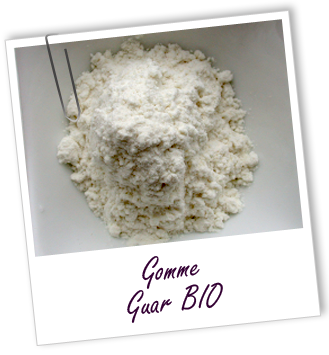 Gomme Guar BIO Aroma-Zone