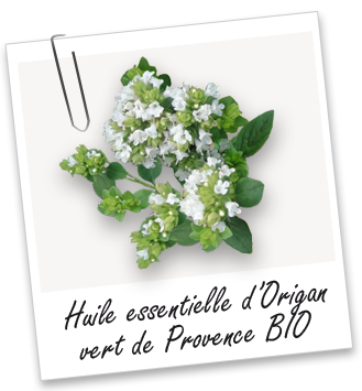 Huile essentielle Origan vert de Provence BIO Aroma-Zone Huile essentielle Origan vert de Provence BIO Aroma-Zone