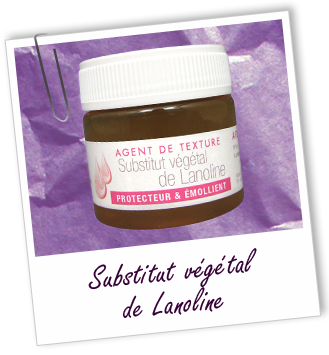 Substitut végétal de Lanoline Aroma-Zone