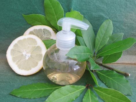 Gel lavant au Laurier purifiant pour les mains