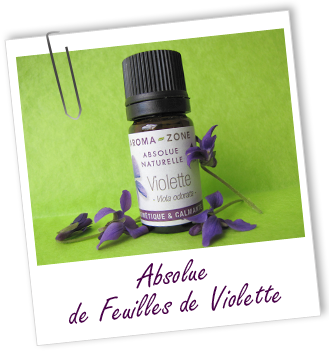 Absolue Violette feuilles Aroma-Zone