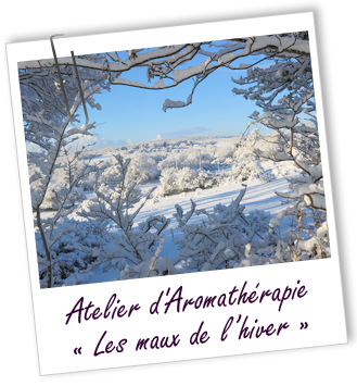 Atelier d'Aromathérapie familiale - LES MAUX DE L'HIVER - Aroma-Zone