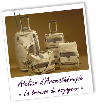 Atelier d’aromathérapie familiale - LA TROUSSE DU VOYAGEUR - Aroma-Zone