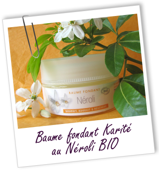 Baume fondant BIO au Karité et au NéROLI Aroma-Zone